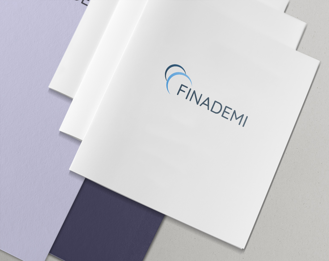 FINADEMI review